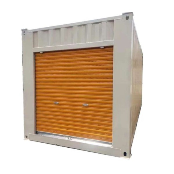 20FT 40FT Shipping Container with Roller Door 